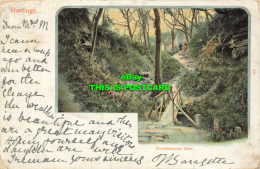 R584613 Hastings. Ecclesbourne Glen. Peacock. 1902 - Monde
