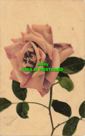 R585150 White Rose. Max Ettlinger. Royal Series. No. 4481 - Monde