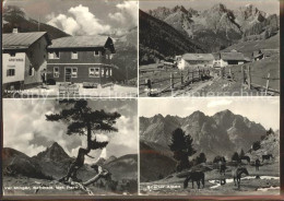 11679079 Scarl Touristenheim Val Minger Nationalpark Alpenpanorama Pferde Scarl - Sonstige & Ohne Zuordnung