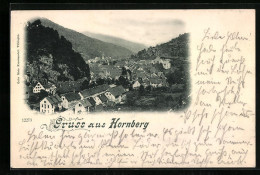 AK Hornberg, Ortsansicht Aus Der Vogelschau  - Hornberg