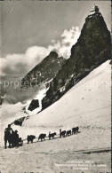 11677689 Jungfraujoch Meteorologische Statiion An Der Sphinx Schlittenhundegespa - Otros & Sin Clasificación
