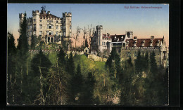 AK Hohenschwangau, Schloss Hohenschwangau  - Autres & Non Classés