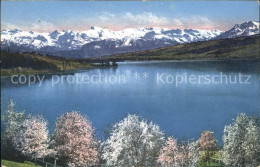 11669679 Hallwilersee Kuenstlerkarte See Und Alpen Hallwil - Autres & Non Classés