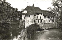 11667929 Hallwil Schloss Hallwil Hallwil - Andere & Zonder Classificatie
