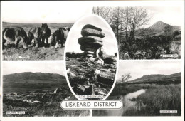 11250626 Liskeard Caradon Hawkes Tor Sharp Tor Moorland  Ponies Caradon - Otros & Sin Clasificación