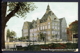 AK Naumburg/ Saale Burgenlandkreis Reform Realgymnasium Um 1900 Gebraucht #HU353 - Autres & Non Classés