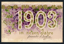AK Neujahrs-Grußkarte Reliefkarte 1903 Gebraucht #HU431 - Autres & Non Classés