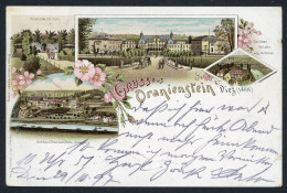 AK Oranienstein Diez Rhein-Lahn-Kreis Trinkhalle Im Hain, Schloß 1905 Gebraucht #HU484 - Andere & Zonder Classificatie