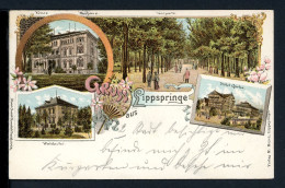 AK Lippspringe - Kreis Paderborn Hotel Garbe, Waldecke, Kurhaus 1898 Gebraucht #HC395 - Autres & Non Classés