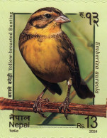 NEPAL 2024 Yellow Breasted Buntling,Bird,Aves,Animal, MNH (**) - Népal