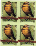 NEPAL 2024 Yellow Breasted Buntling,Bird,Aves,Animal, Block Of 4v, MNH (**) - Nepal