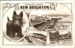 11250223 New Brighton Merseyside Pier
Sands  - Sonstige & Ohne Zuordnung
