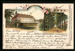 Lithographie Frankenberg /Sa., Schloss Und Parkallee Lichtenwalde  - Frankenberg