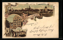Lithographie Sursee, Teilansicht, Unterstadt, Oberstadt  - Sursee