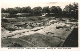 11250041 Dorchester West Dorset Roman Excavation Colliton Park West Dorset - Autres & Non Classés
