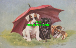 R584759 Domestic Pets. Tuck. Oilette. Postcard No. 3580 - Monde