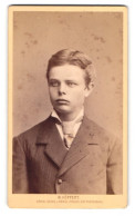 Fotografie W. Höffert, Dresden, See-St. 10, Junger Mann Im Anzug Mit Krawatte  - Personnes Anonymes