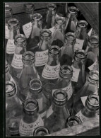 Fotografie Leergut, Leere Pfandflaschen, Glasflaschen, Wasserflaschen  - Autres & Non Classés