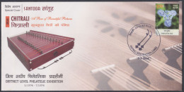 Inde India 2014 Special Cover Santoor Musical Instrument, Music, Art, Arts, Pictorial Postmark - Cartas & Documentos