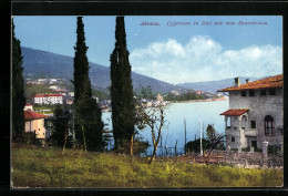 AK Abbazia, Cypressen In Icici Mit Dem Sanatorium  - Croatie