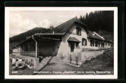 AK Semmering, Gasthaus Und Pension Alpenhof  - Other & Unclassified