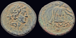Pontos Amisos AE22 Thyrsus Resting Against Cista Mystica - Griechische Münzen