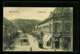 AK Miskolcz, Erzsébet-tér  - Hongrie