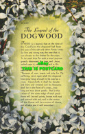 R585653 The Legend Of The Dogwood. Asheville Post Card - Monde