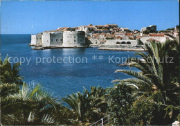 72603719 Dubrovnik Ragusa Panorama Festung Altstadt Croatia - Croatie
