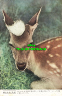 R586208 The Queen Deer. Fukuda Card - Monde