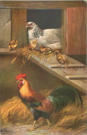 Illustration T.S.N Serie  - Theme Oiseaux Basse Cour     Q 2627 - Oiseaux