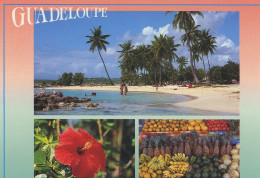 97100 02 09#1 - GUADELOUPE - MULTIVUES - Sonstige & Ohne Zuordnung