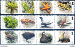 Definitiva. Biodiversità 2016. - Tristan Da Cunha