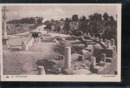 Cpa  Carthage L'Amphithéatre - Tunesien