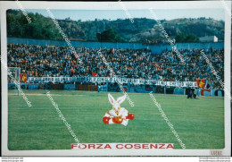 Ao599 Foto Calcio Cosenza Curva - Cosenza