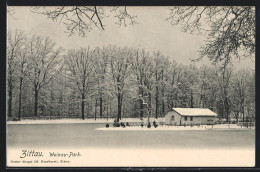 AK Zittau, Weinau-Park Im Winter  - Zittau