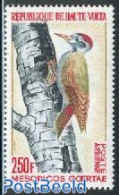 Upper Volta 1964 Definitive, Bird 1v, Mint NH, Nature - Birds - Woodpeckers - Other & Unclassified