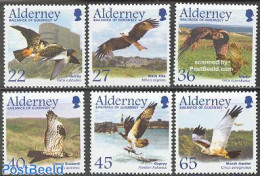 Alderney 2002 Birds Of Prey 6v, Mint NH, Nature - Transport - Various - Birds - Birds Of Prey - Aircraft & Aviation - .. - Avions