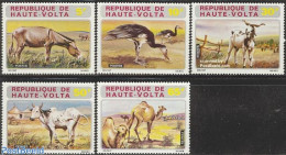 Upper Volta 1972 Domestic Animals 5v, Mint NH, Nature - Animals (others & Mixed) - Birds - Cattle - Other & Unclassified