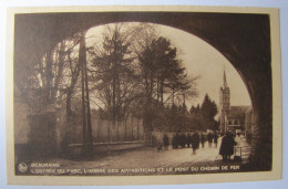 BELGIQUE - NAMUR - BEAURAING - L'Entrée Du Parc, L'Arbre Des Apparitions Et Le Pont Du Chemin De Fer - 1933 - Beauraing