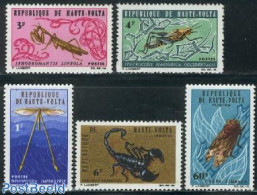 Upper Volta 1966 Insects 5v, Mint NH, Nature - Insects - Sonstige & Ohne Zuordnung