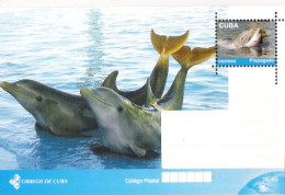 2858  Dolphins - Dauphins - 2011 - Entier Postal Sta - Unused - Cb - 1,85 - Dauphins