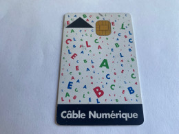 1:069 - TV Card Chip Cable Numerique - Autres & Non Classés
