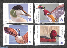 Romania 2022 Ducks & Gooses 4v, Mint NH, Nature - Birds - Ducks - Nuovi