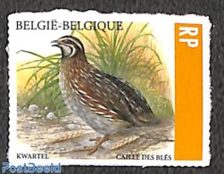 Belgium 2023 Bird RP 1v S-a, Mint NH, Nature - Birds - Unused Stamps