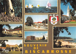 40 BISCAROSSE LACS ET FORET - Biscarrosse