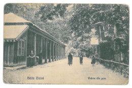 RO 91 - 13466 ZIZIN, Brasov, Park, Romania - Old Postcard - Unused - Rumänien