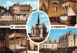 37 AMBOISE LE CHÂTEAU - Amboise