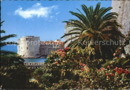 72596362 Dubrovnik Ragusa Stadttor Ploce Mit Festungsturm Des Hl Ivan Croatia - Croatie