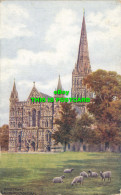 R586300 Salisbury Cathedral. West Front. J. Salmon. A. R. Quinton. 1929 - Monde